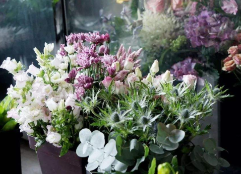 廣西插花學校：花材處理技巧（一）