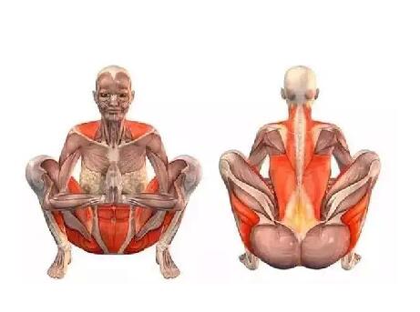 瑜伽動(dòng)作小課堂！