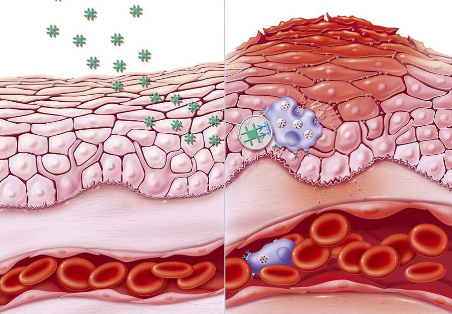讓你的肌膚毛孔越來越細(xì)膩~