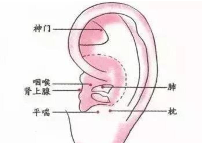 如何正確艾灸耳朵？南寧美容學(xué)校幫你整理教程