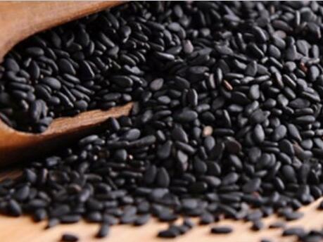 在家也能做的美發(fā)沙龍！