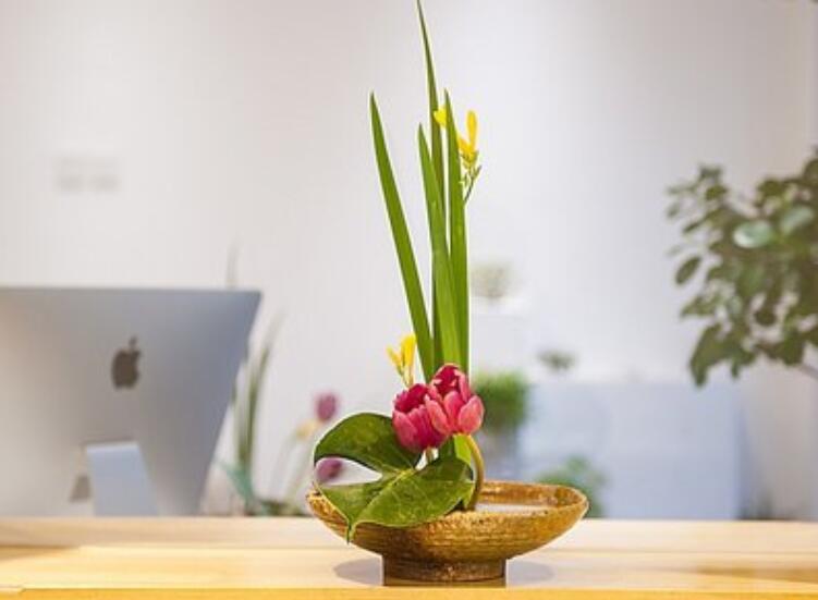 什么是盆式插花？南寧插花培訓課程解析