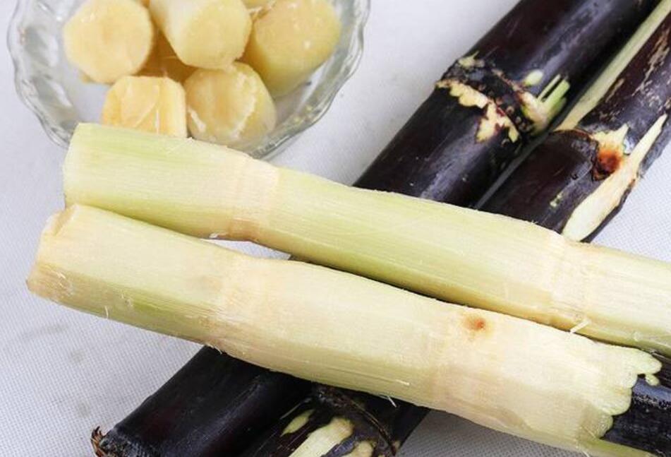 秋冬適合吃什么？南寧教美容養(yǎng)生的學(xué)校分享給你