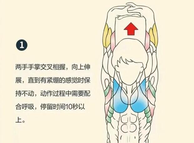 南寧美容師培訓(xùn)要學(xué)什么？背部護(hù)理就是其中一項(xiàng)