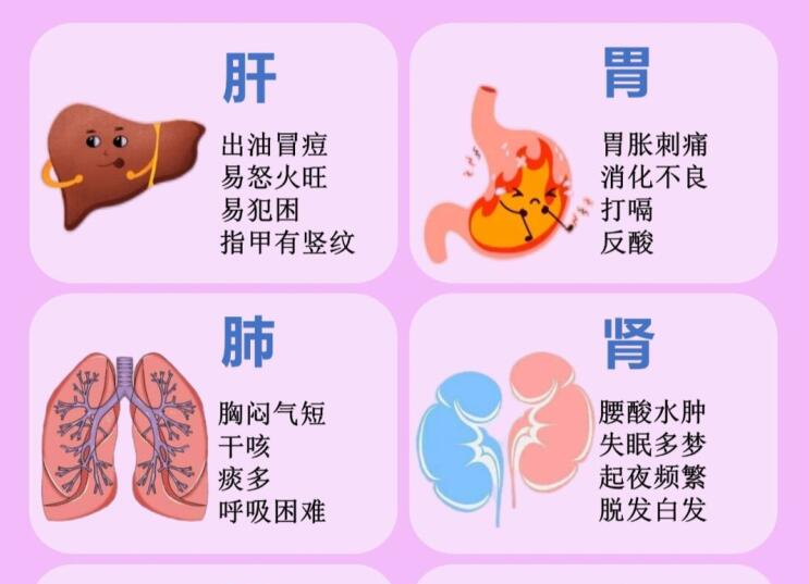 6大臟器保養(yǎng)指南，6款養(yǎng)生茶喝起來(lái) ???