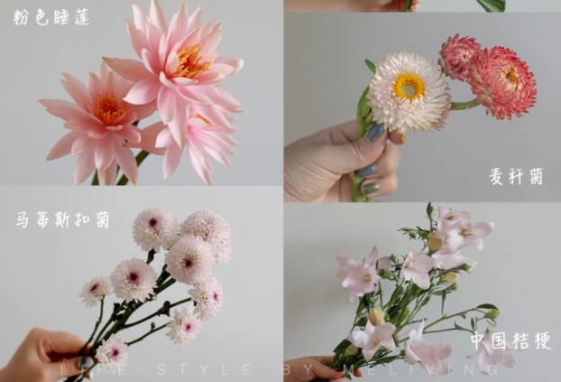 認(rèn)識常見花朵的名稱，廣西插花學(xué)校花藝培訓(xùn)基礎(chǔ)