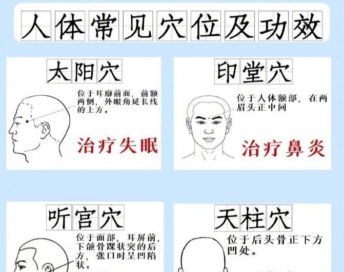 人體常見穴 位及功效，廣西專業(yè)正規(guī)美容學(xué)校講解