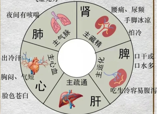 人體不同部位受寒的表現(xiàn)，廣西中醫(yī)美容培訓(xùn)分享