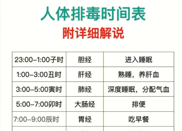 人體排毒時間表，南寧美容專業(yè)學(xué)校詳細(xì)解說