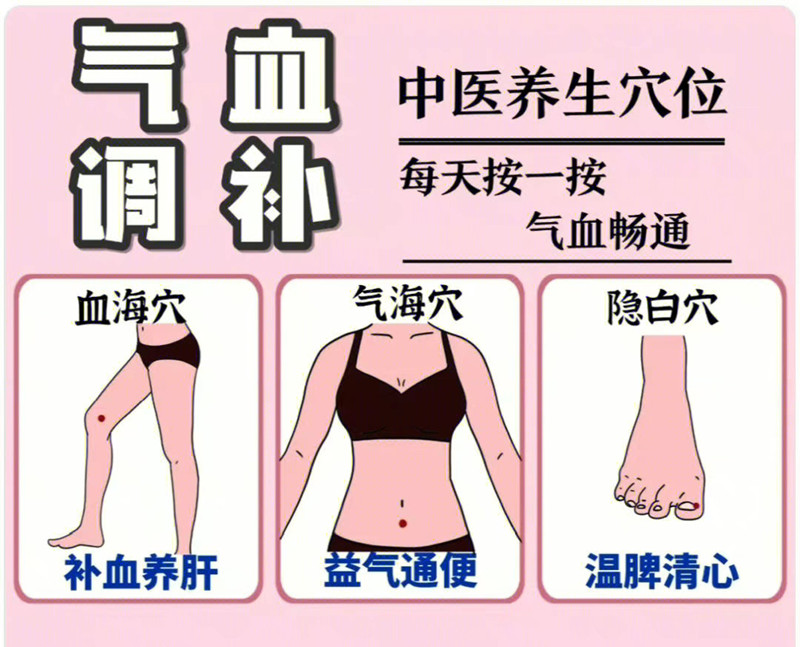 具有補(bǔ)氣血功能的穴位，南寧學(xué)美容中醫(yī)