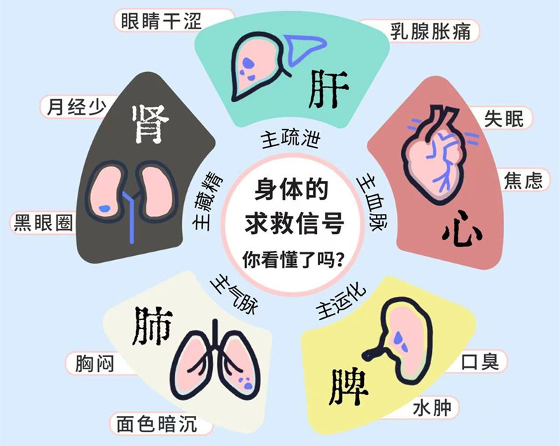 南寧專(zhuān)業(yè)美容管理學(xué)校：五臟六腑如何管理？