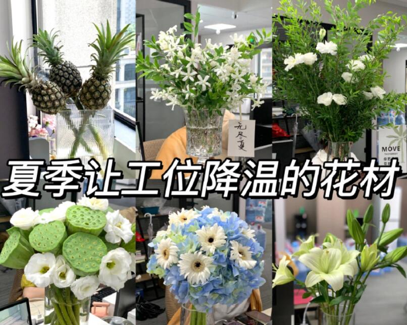 自帶降溫效果的花材，廣西學(xué)鮮花技術(shù)