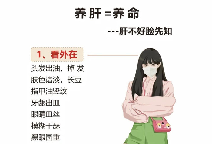 南寧學(xué)健康美容：如何正確養(yǎng)肝？