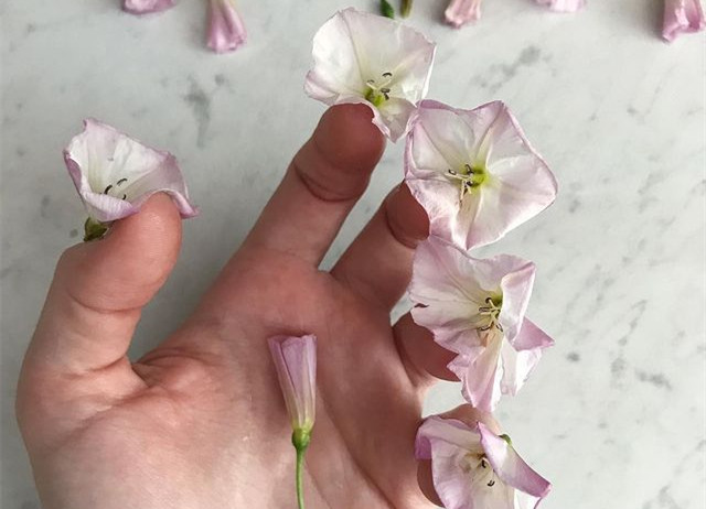 植物藝術(shù)美甲，南寧美甲造型設(shè)計(jì)培訓(xùn)分享