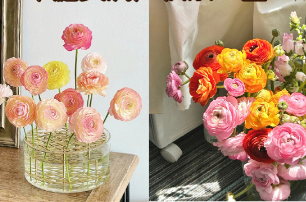 小眾但花語很美的花卉，南寧鮮花知識培訓(xùn)