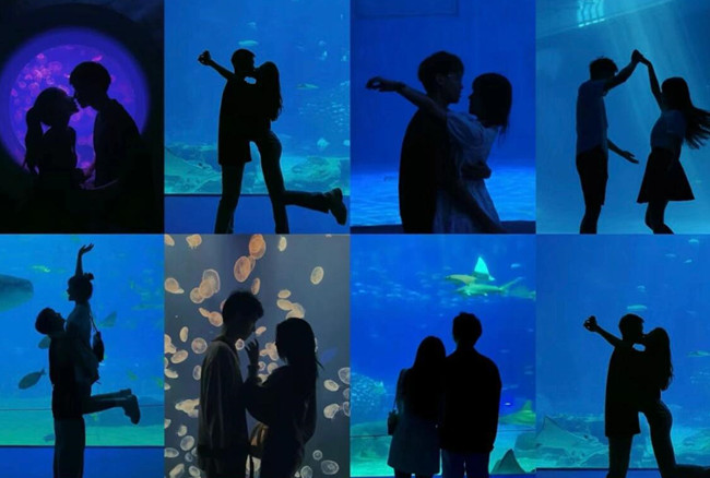 在海洋館怎么拍照？廣西人物形象設(shè)計(jì)專業(yè)支招